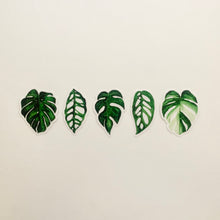 Load image into Gallery viewer, Green Foliage Clear Vinyl Stickers