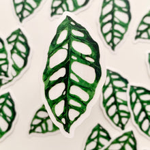 Load image into Gallery viewer, Green Foliage Clear Vinyl Stickers