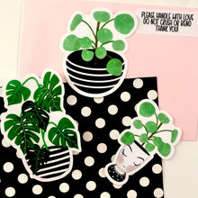 Load image into Gallery viewer, Monstera Plants Clear Vinyl Stickers