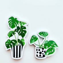 Load image into Gallery viewer, Monstera Plants Clear Vinyl Stickers