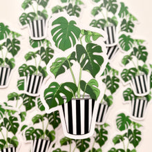 Load image into Gallery viewer, Monstera Plants Clear Vinyl Stickers