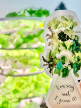 Load image into Gallery viewer, I’m Sexy and I Grow It! Lettuce Grow Farmstand Clear Sticker & Magnet