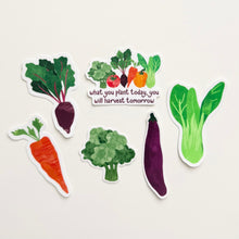 Load image into Gallery viewer, Garden Bounty Vinyl Stickers
