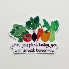 Load image into Gallery viewer, Garden Bounty Vinyl Stickers
