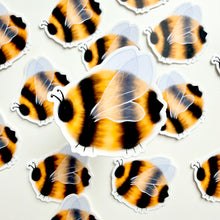 Load image into Gallery viewer, Chonky Bee Vinyl Stickers
