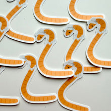Load image into Gallery viewer, Mr. &amp; Mrs. Fancy Worms

