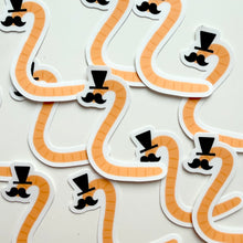 Load image into Gallery viewer, Mr. &amp; Mrs. Fancy Worms
