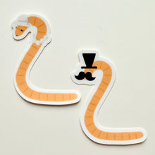 Load image into Gallery viewer, Mr. &amp; Mrs. Fancy Worms
