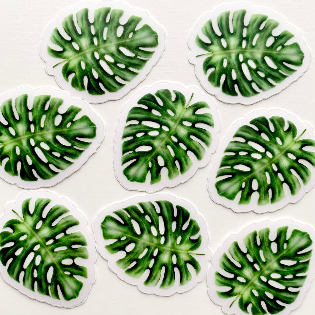 Monstera Leaf Mini Clear Sticker