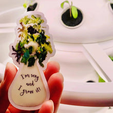 Load image into Gallery viewer, I’m Sexy and I Grow It! Lettuce Grow Farmstand Clear Sticker &amp; Magnet
