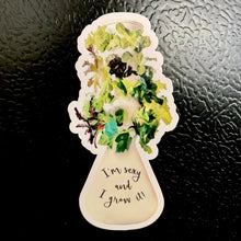 Load image into Gallery viewer, I’m Sexy and I Grow It! Lettuce Grow Farmstand Clear Sticker &amp; Magnet
